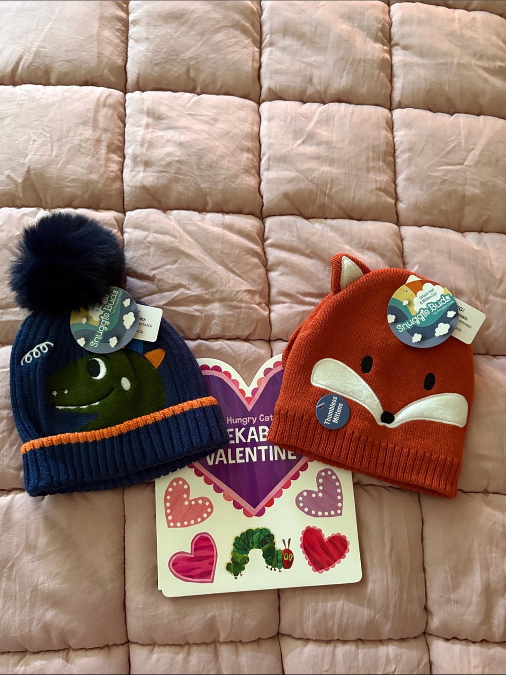Infant/toddler Knit Beanie Hat with Ear Details/pompom and Book